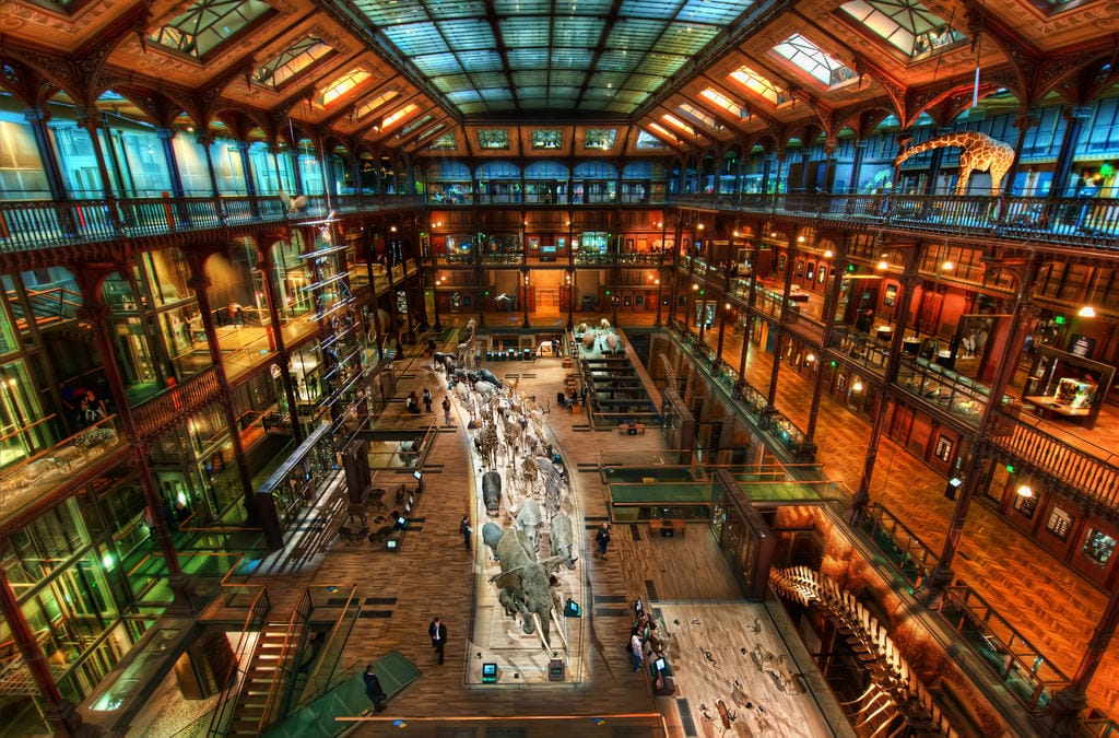 Musée national d'Histoire naturelle
