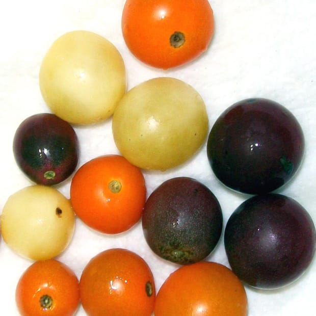 Plant Cell – all change at the top