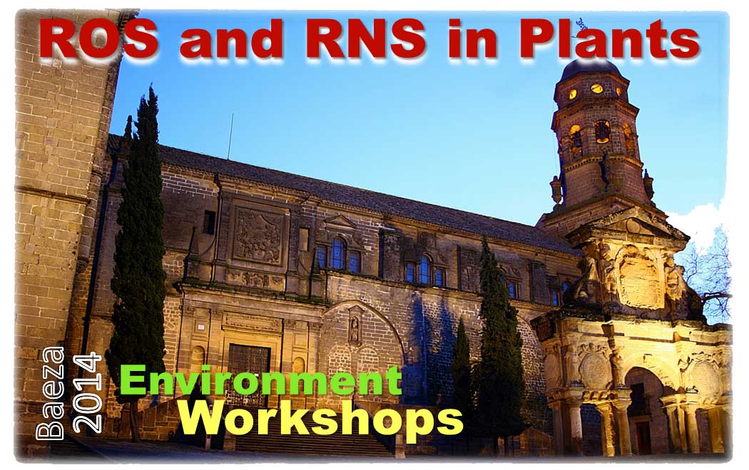 Reactive oxygen species and nitric oxide: A Special Issue of Annals of Botany