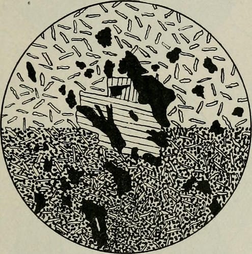 A new website introducing genetic engineering