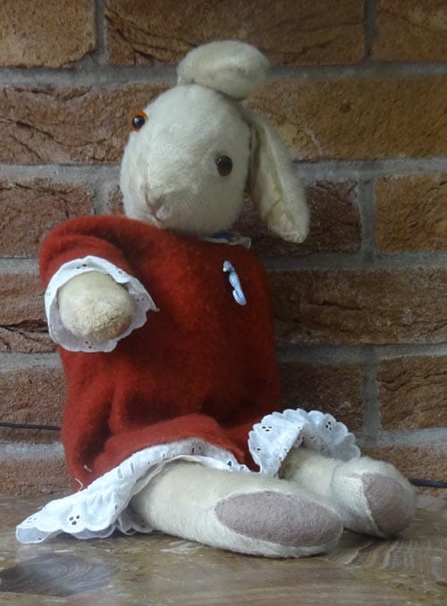 The ultimate friendly, domesticated rabbit