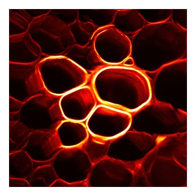 00 image for blog 1border