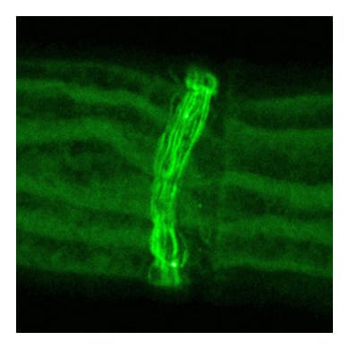 00 image for blog 2border