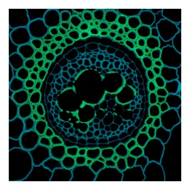 00 image for blog 3border