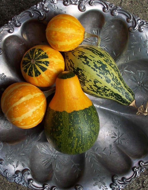 Bloody royal French gourd debunked