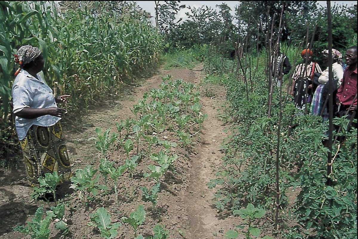 Can intensification be sustainable?