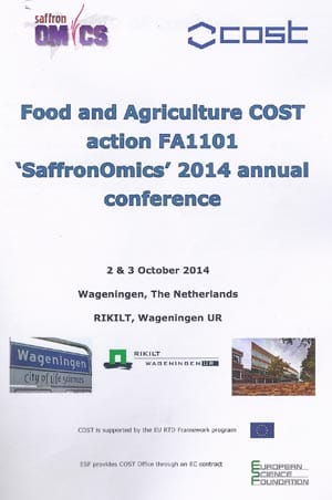 Saffronomics Meeting Book Cover