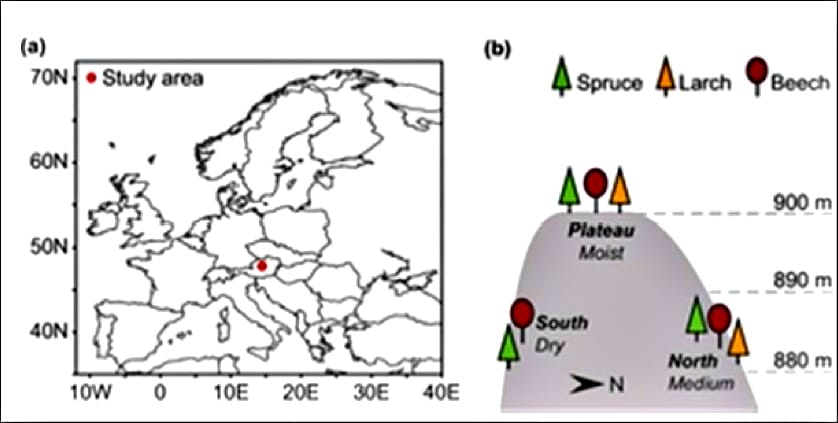Figure 1 from Hartl-Meier et al. 2014 describing the study sites
