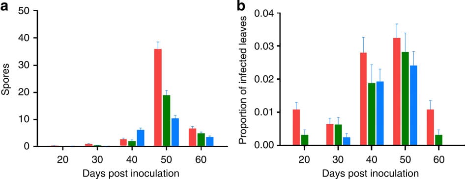 Coinfection increases spore activity