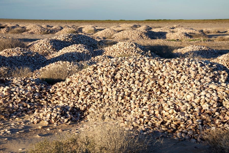 Biodiversity flourishes in an ancient rubbish tip