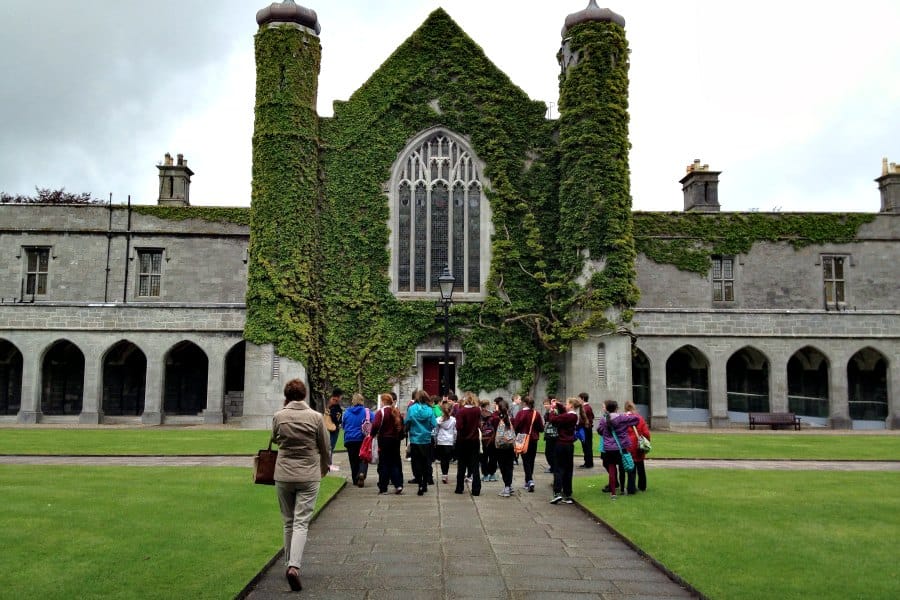 Lecturer Position in Botany and Plant Science at Galway