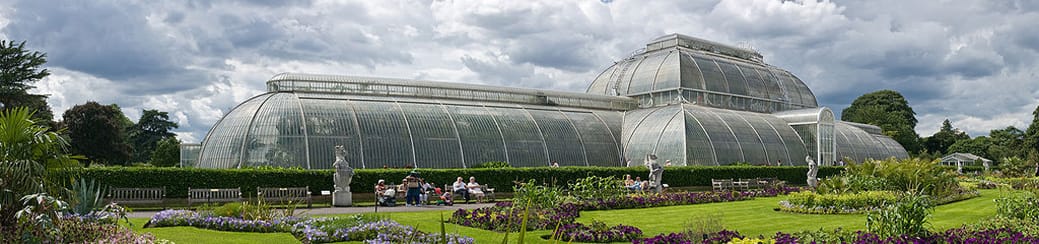 Kew’s funding: ‘a recipe for failure’?