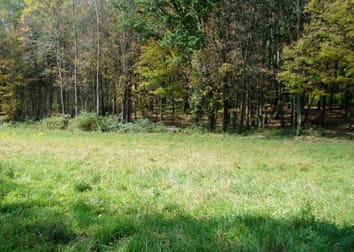 Evidence for rapid ecological range expansion in a newly invasive plant