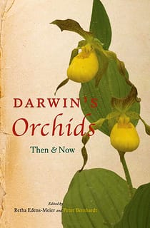 Charles Darwin – pollination scientist