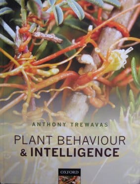 Plants are !”£$%%!^$”£ [fill in the missing word]*