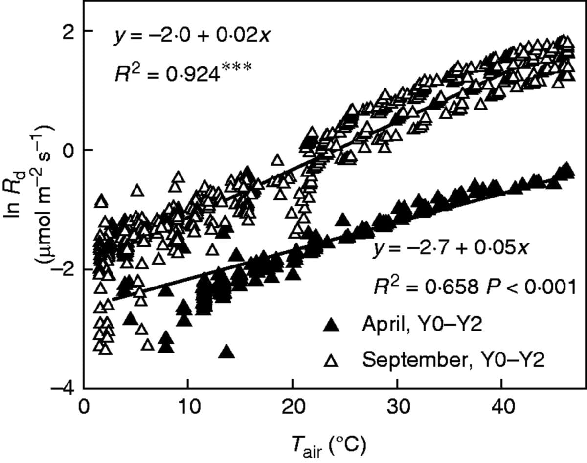 Photosynthetic responses to temperature in black spruce