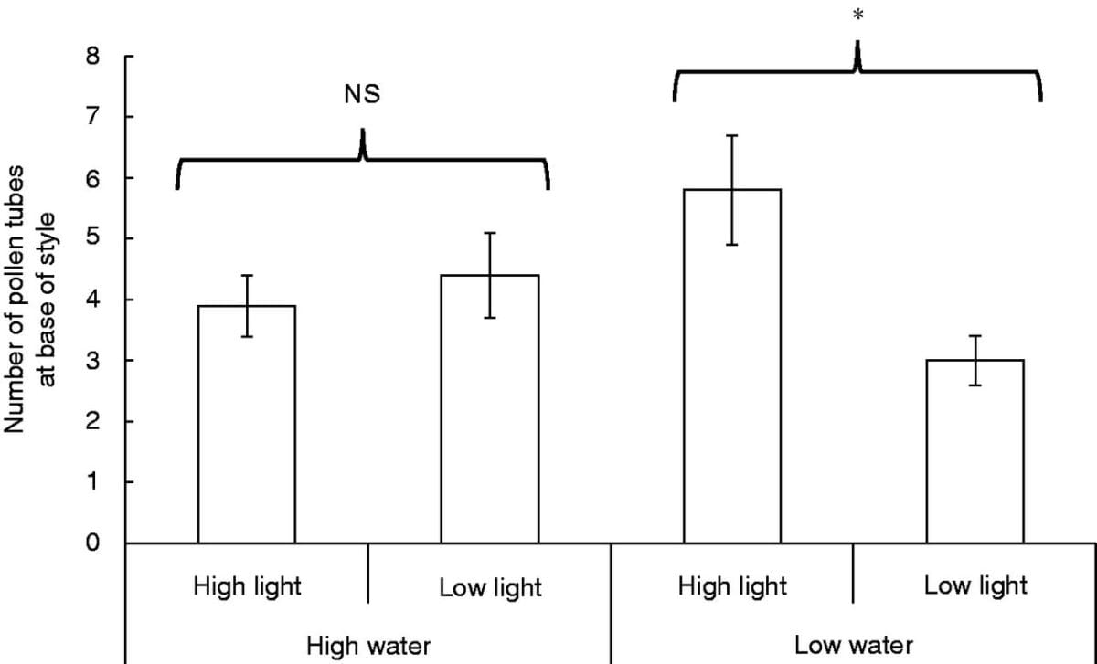 Heterospecific pollen effects vary with abiotic conditions