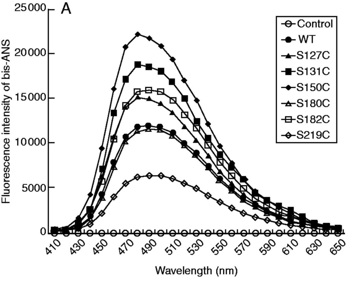 Regulation of peroxidase and molecular functions of 2-Cys PrxA
