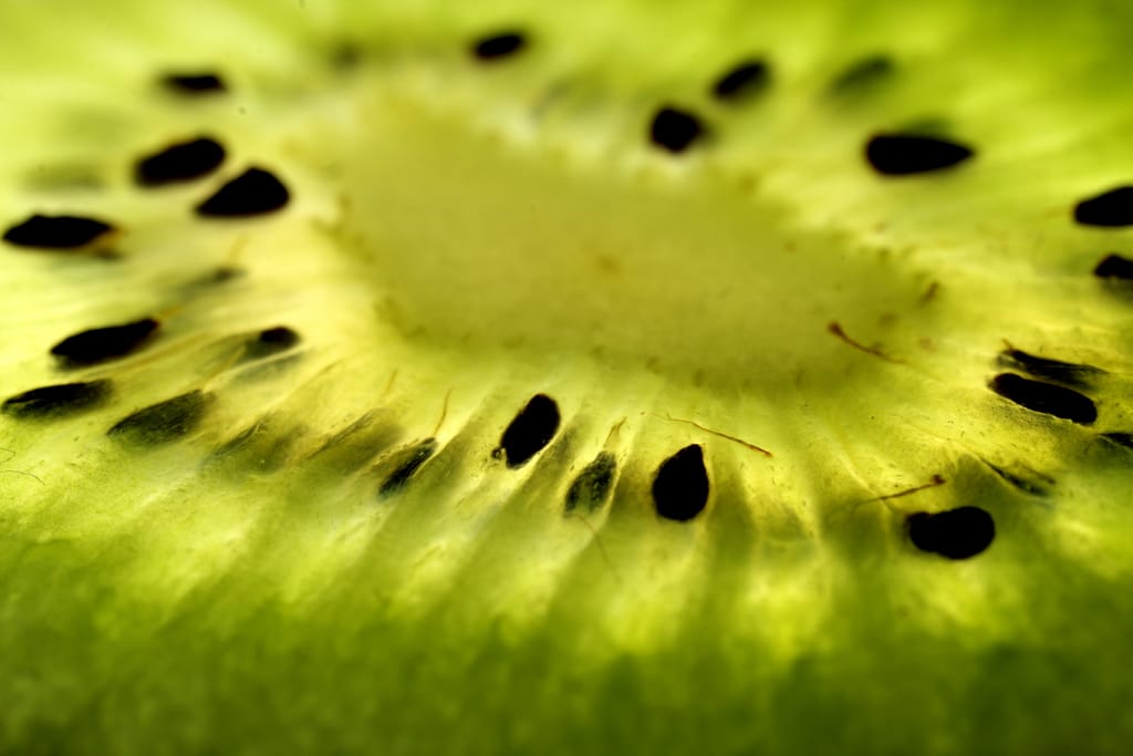 Sodium nitroprusside and ozone in kiwifruit ripening