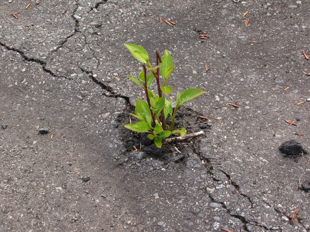 Beyond the deficit model, how science communication puts nature in the frame