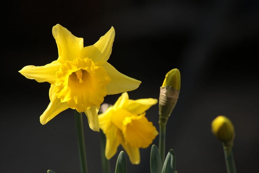 Stories of 2015: March