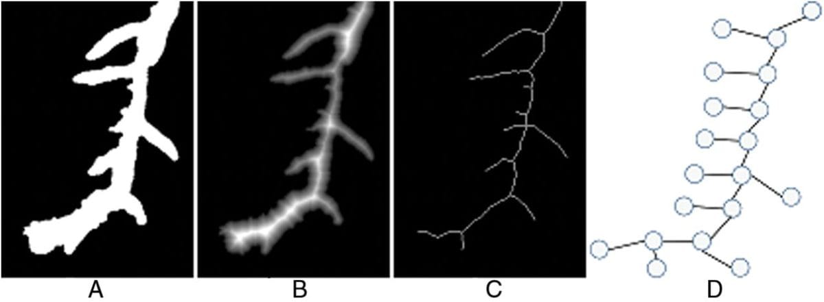 All is number? A faster way to analyse plant root images