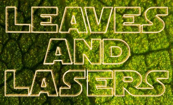 A short post in which we avoid the STAR WARS hype to look at leaves and lasers