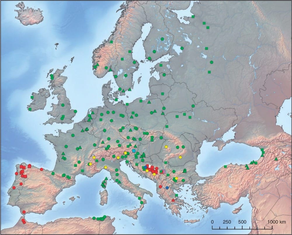 Geographical locations of populations of Alnus glutinosa and A. incana across the study area.