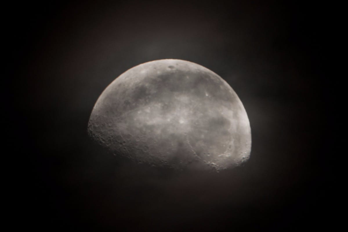 Selenium accumulation by plants