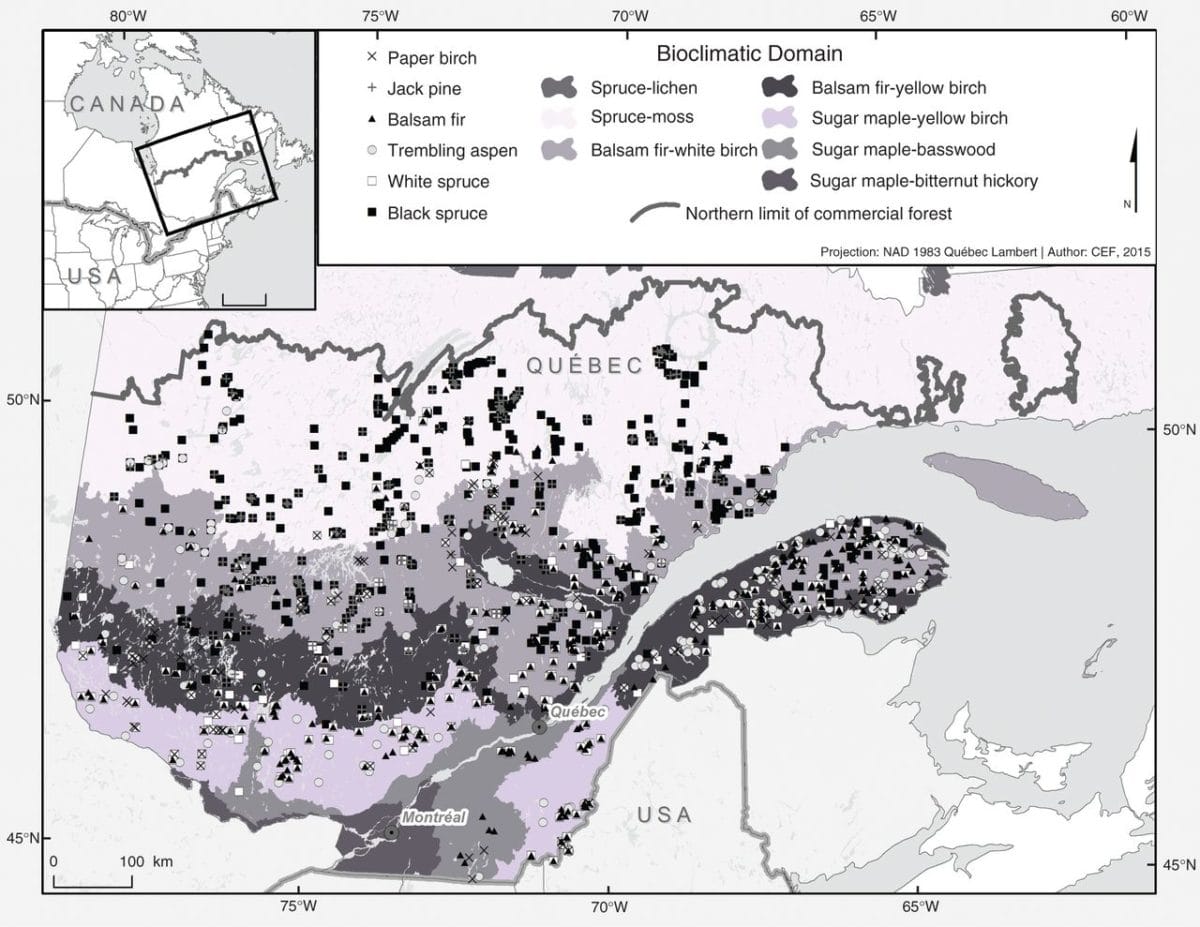 Trade-offs between tree investment in primary and secondary growth are species- and environment-dependent