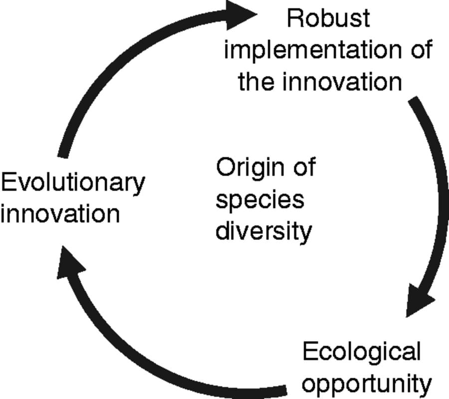 The significance of developmental robustness for species diversity