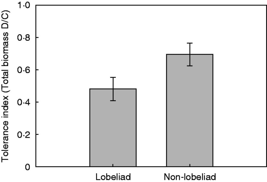 Mean levels of tolerance, quantified as the ratio of damaged/control plant means, for lobeliad species in the Campanulaceae family compared with all other species.