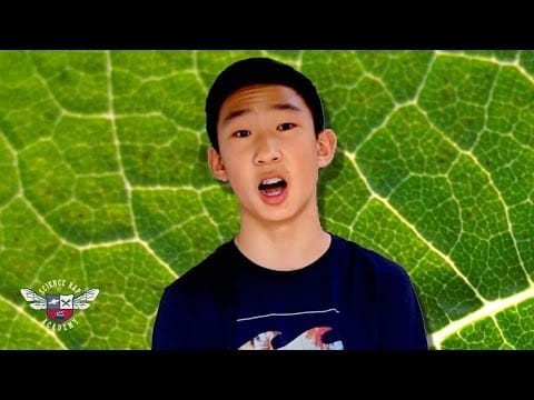 Botany needs more rap songs