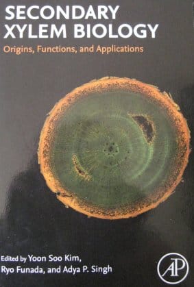 Bigging-up wood work