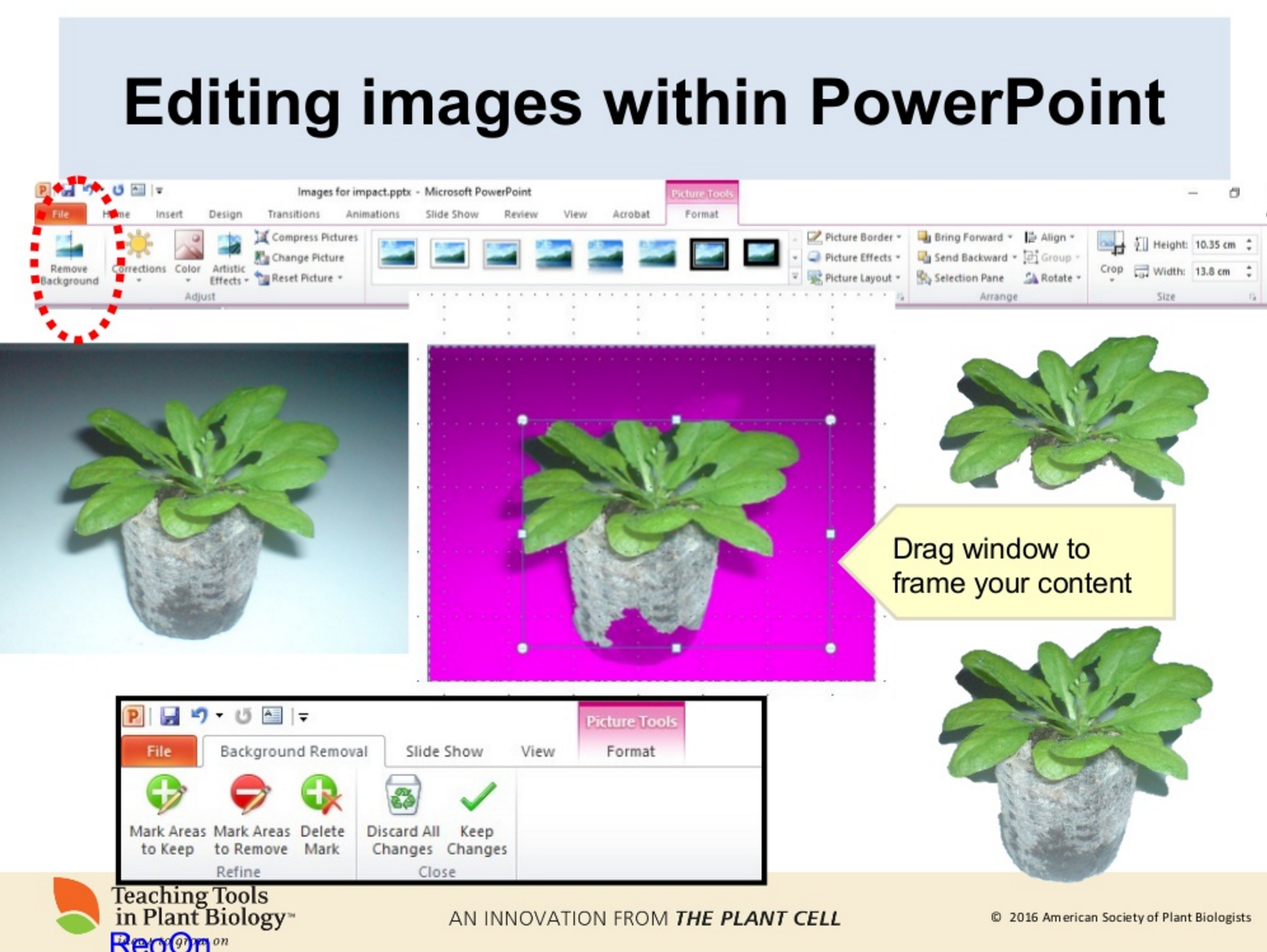 A picture is worth a thousand bullet points