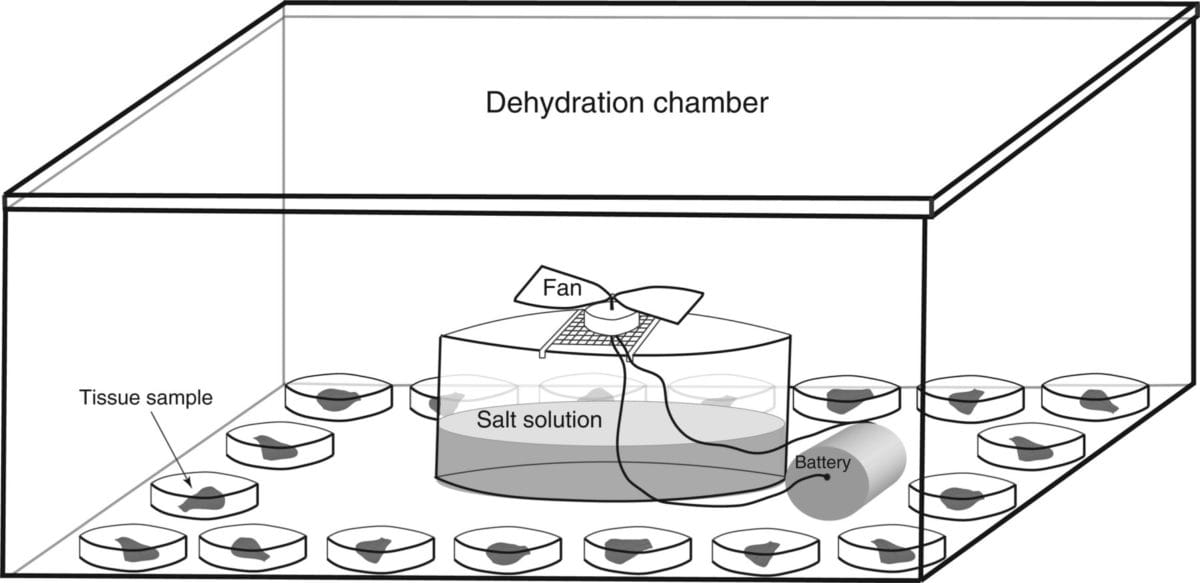 Schematic of the dehydration assay set-up.