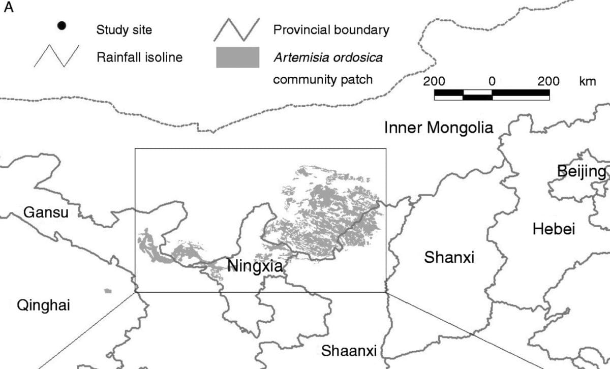 Linkage between leaf traits and vegetation zonation