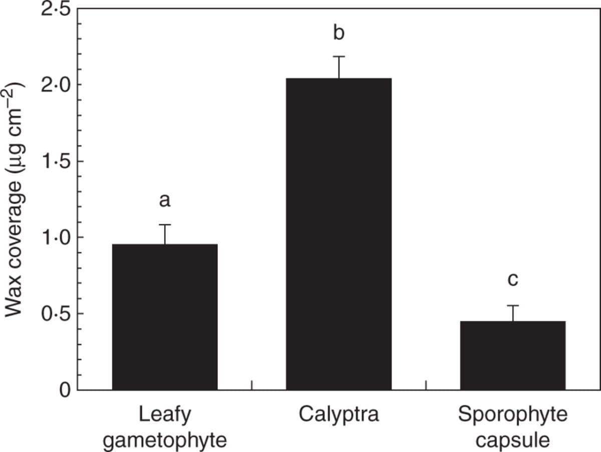 Funaria hygrometrica gametophyte and sporophyte cuticular waxes