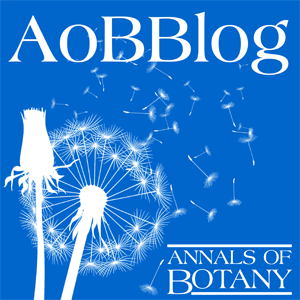 AoBBlog, Spruced Up and Ready for 2017