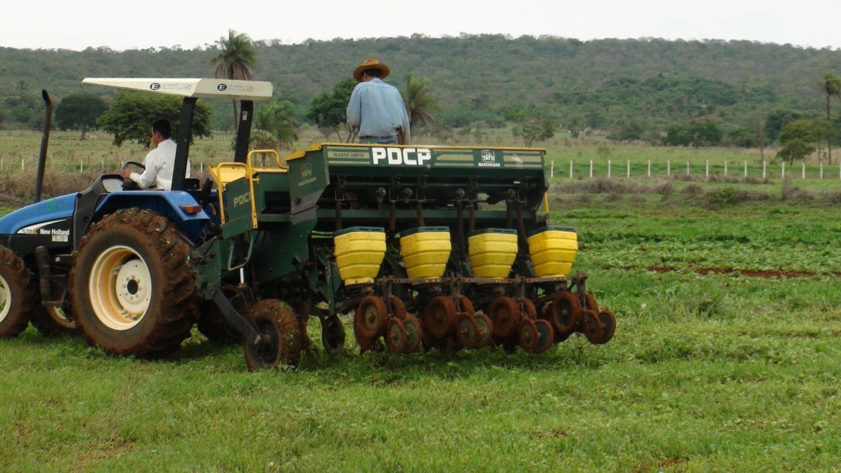 Seeding herbicide-tolerant corn into weedy grass in Brazil. Unlike adjacent cassava fields, there is no erosion of soil from tillage, wind or rain. The weeds will be sprayed off with glyphosate once the maize seedlings are established.