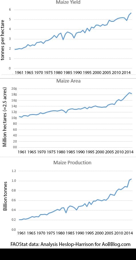 World averages for maize or corn yield, area grown and production 1961-2014