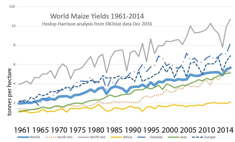 Maize yield across regions of the world
