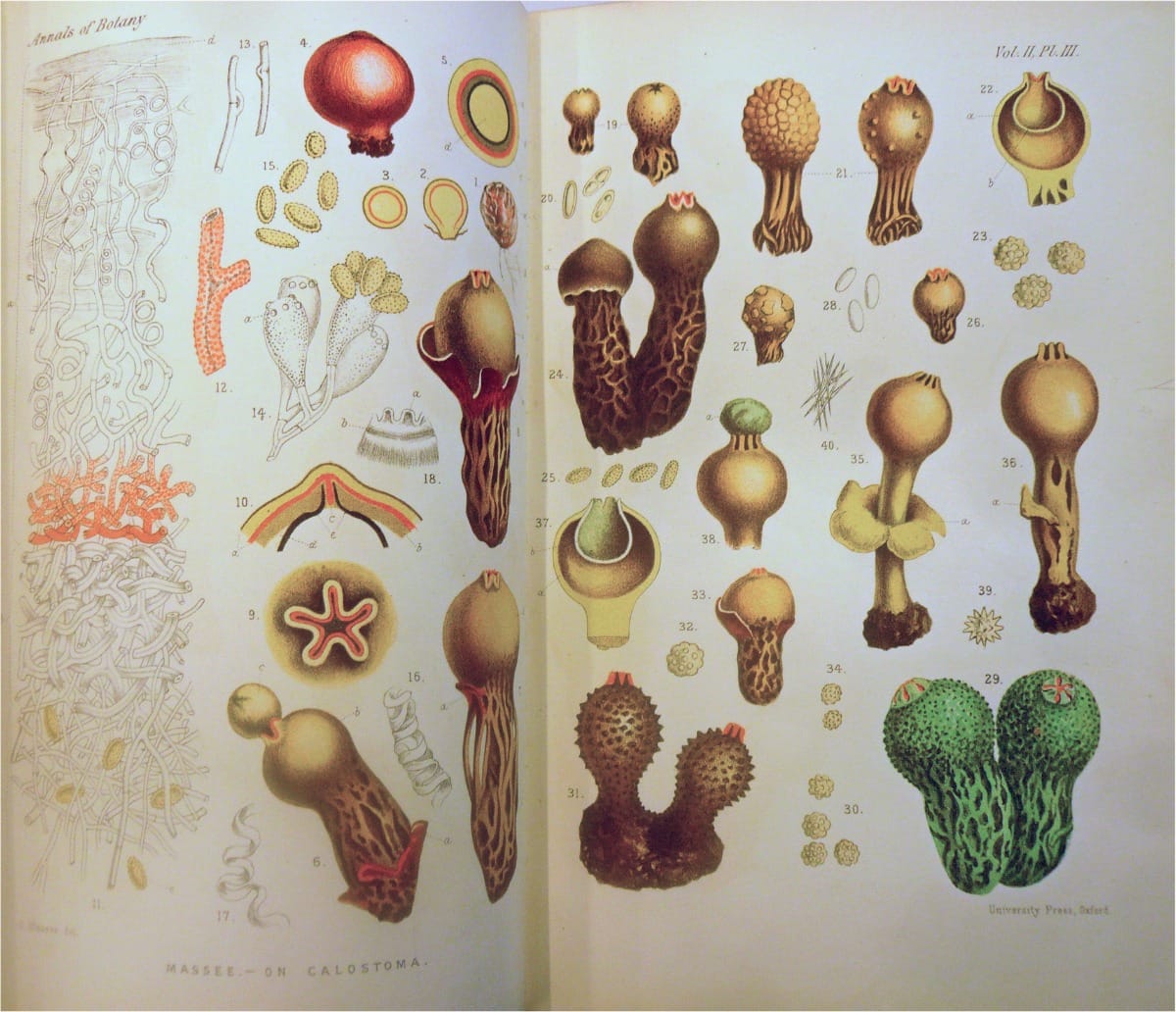 1887 and all since then for Annals of Botany