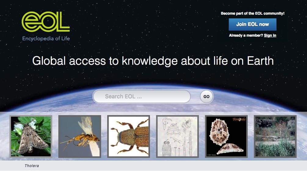 A bookmarklet for looking up species in the Encyclopaedia of Life