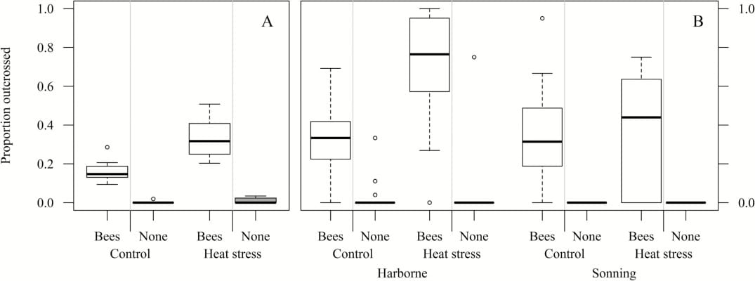 Proportion of outcrossed progeny in flight cage (A) and field (B) experiments. 