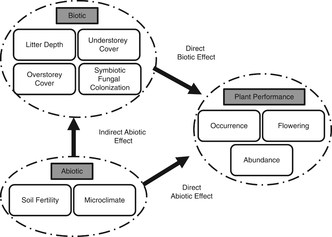 Conceptual model of direct abiotic and biotic and indirect abiotic effects on Treintalis performance.