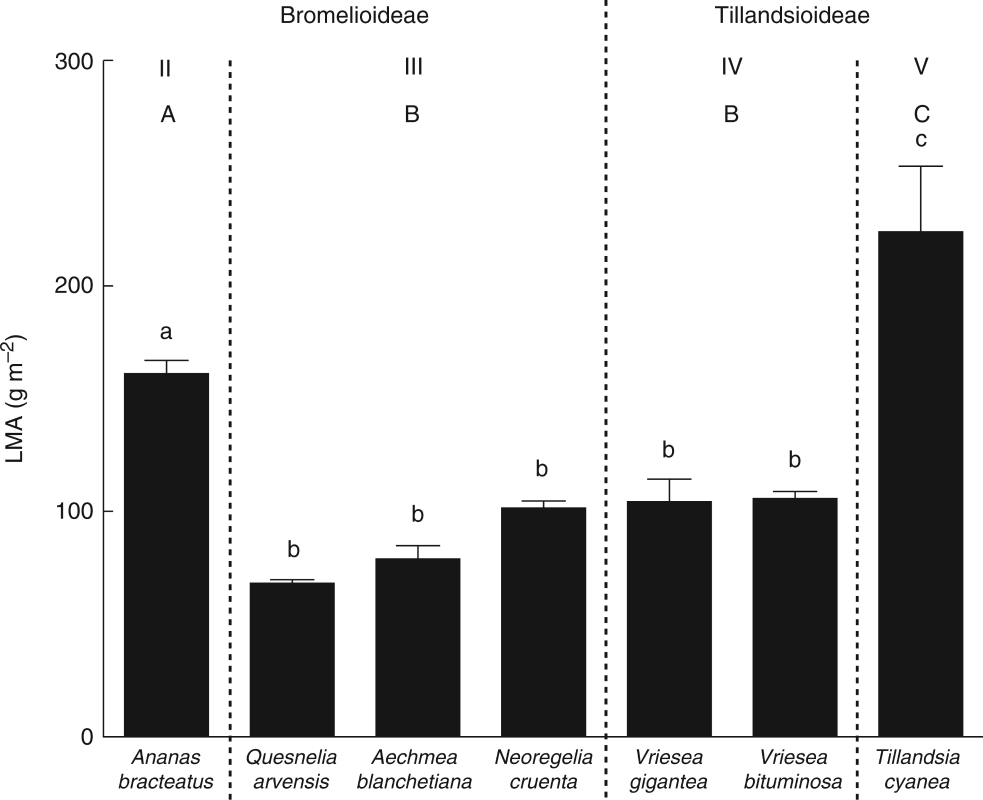 Terrestrial predators and nutritional trade-off in Bromeliaceae