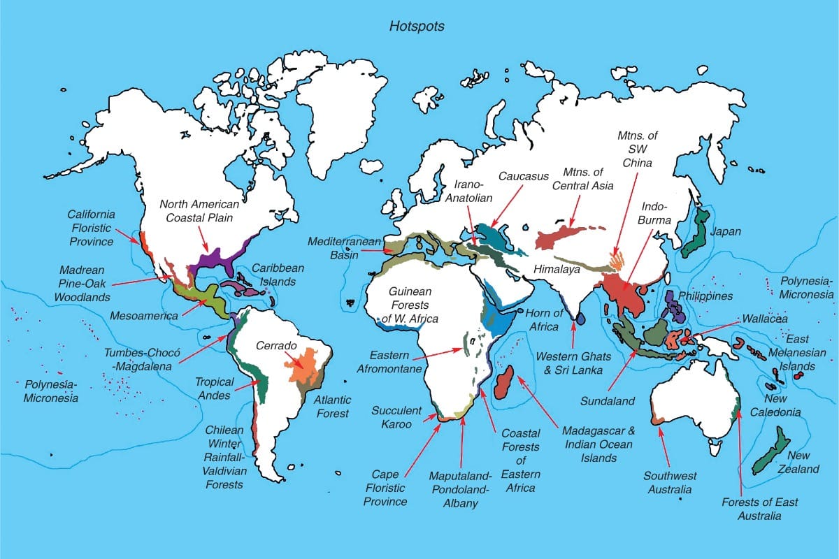 Endemism hotspots are linked to stable climatic refugia