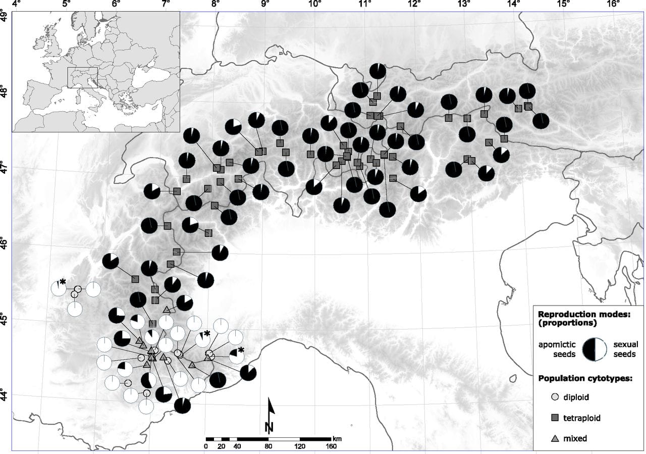 Geographical distribution of Ranunculus kuepferi reproduction modes of analyzed populations on a map of the European Alps with elevation model. 