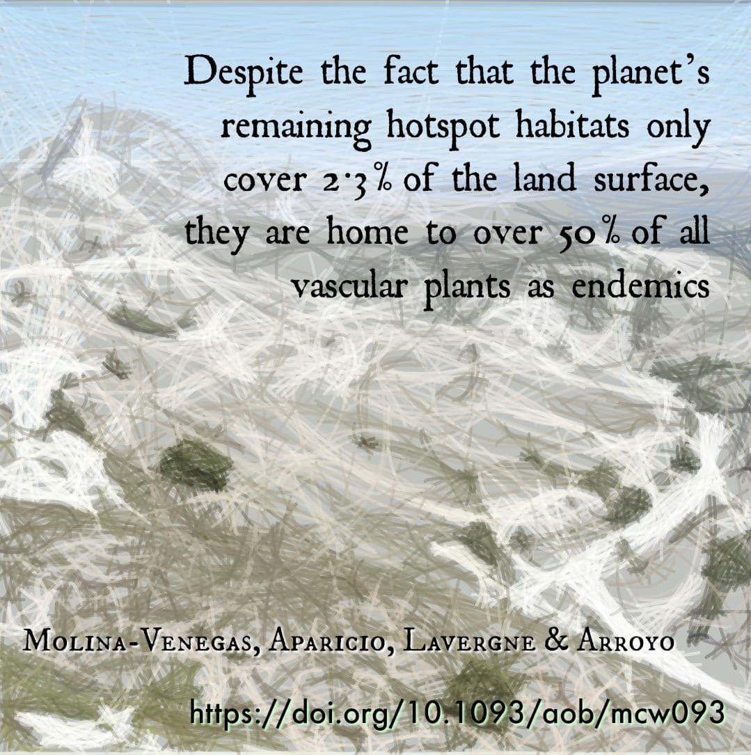 Paleo- and neo-endemism in a Mediterranean biodiversity hotspot